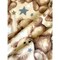 Teddy Bear Stars Anti-Pill Premium Fleece Fabric | By The Yard